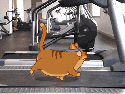 卡通gif动态图片,健身房跑步机猫咪动图表情包下载