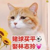 赌球买平 娶林志玲