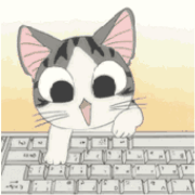 小猫 敲键盘 可爱 萌萌哒