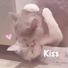 萌宠 猫星人 kiss 亲吻 呆萌 可爱