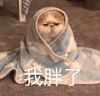 萌宠 喵星人 我胖了 我居然变重了 可爱 憨憨