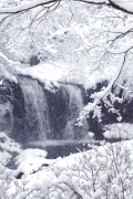 Cinemagraph 美景 流水 雪