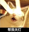 猫咪 关灯 搞笑 可爱