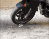动物 搞笑 摩托车 可爱