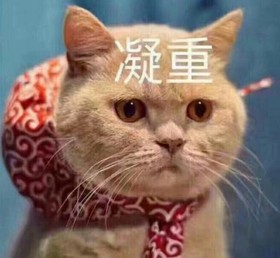 搞笑 可爱 逗 蠢萌 魔性