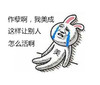 兔头男 泪流满面 臭美 作孽啊