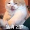 萌宠 喵星人 猛男之怒 生气 搞怪