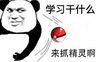 神奇宝可梦 抓精灵 坏坏的 来抓精灵啊