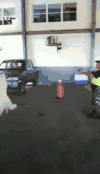 逗比 搞笑 厉害了 笑死人