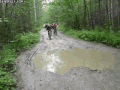 骑车 旅行 水坑 坑
