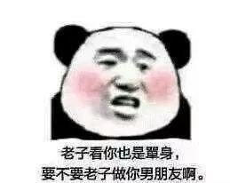 土味情话 熊猫人 撩 暴漫 搞怪 逗