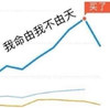 我命由我不由天 最高位买入 炒股  抄底