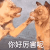 狗狗表情包动图 你好厉害呢 动图  狗狗  斗图