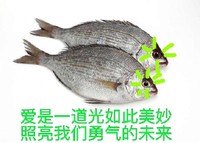 爱是一道光如此美妙，照亮我们勇气的未来 装逼  鱼  一丝  诡异的光  闪着  诡异