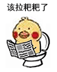 该拉粑粑了 鹦鹉  便秘