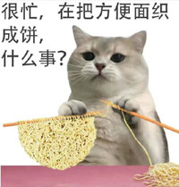 很忙,在把方便面织成饼,什么事? 斗图  猫猫  很忙