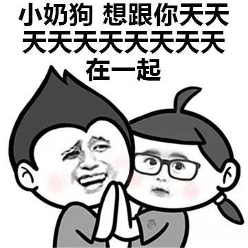 小奶狗：想跟你天天在一起 属于  一类