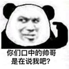 暴漫 熊猫头 你们口中的帅哥 是在说我吧 搞怪 逗