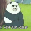 熊猫 可怜 无助 肥胖