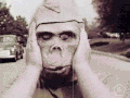 酿造的 猴子 okkultmotionpictures okkult 自行车 开放的知识 数字人文 安全 摘录 一千九百六十三 一个胖了