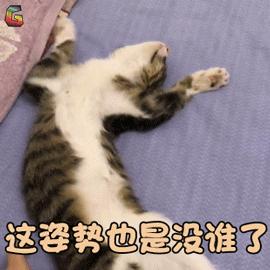 萌宠 猫咪 猫 姿势 也是没谁了 搞怪 soogif soogif出品