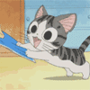 猫咪 萌宠 给我 可爱