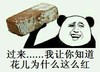 砖头 举起 脸红 花儿为什么这么红