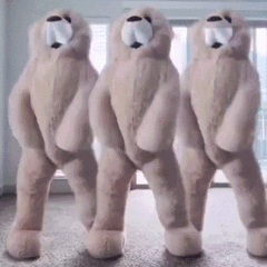 玩偶熊 跳舞 魔性 搞怪
