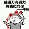 暴漫人物 尔康脸 搞笑 雷人 斗图 感谢万有引力将我拉向你