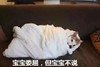 宝宝委屈，但宝宝不说    蓝瘦  香菇   委屈   汪星人