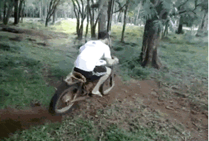 男子 骑着 摩托车 树上 摇摆
