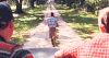 阿甘正传 汤姆·汉克斯 福勒斯特•甘普 跑 追 欺负 Forrest Gump
