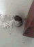 生活 枪毙 坏事 gif