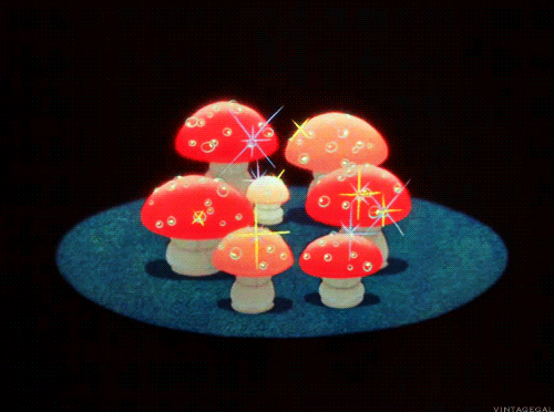 蘑菇 发光 迪斯尼的幻想曲 闪闪的