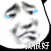 暴漫 熊猫头 我很好 点赞 搞怪 逗