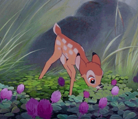 小鹿斑比 动画 春天 食物 bambi