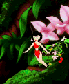 美女 飘落 花朵 美丽