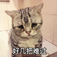 猫咪 可爱 委屈 好几把难过