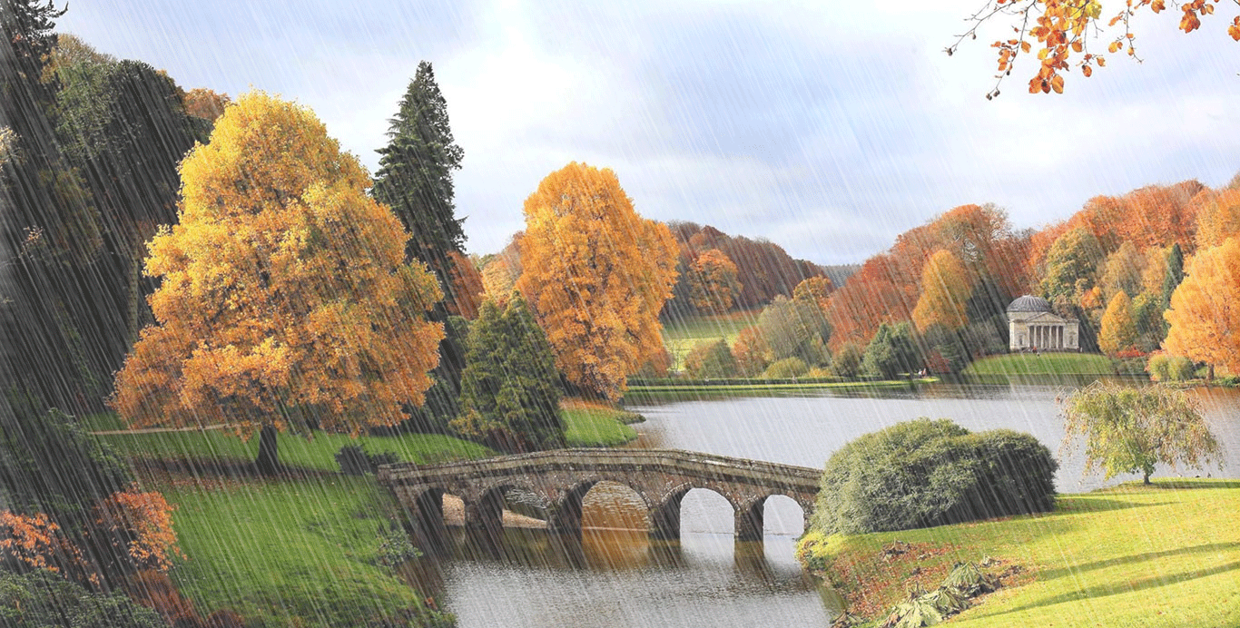 风景 树木 下雨 拱桥