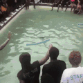 搞笑 逗逼 尴尬 轻松时刻 跳水