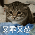 沙雕猫 猫咪 猫 可爱猫 猫表情包 猫咪表情包 小猫