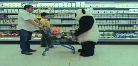 人偶 超市 熊猫 懵逼 摔 生气 panda