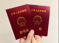 结婚证 官宣 恶搞 肥宅证 我