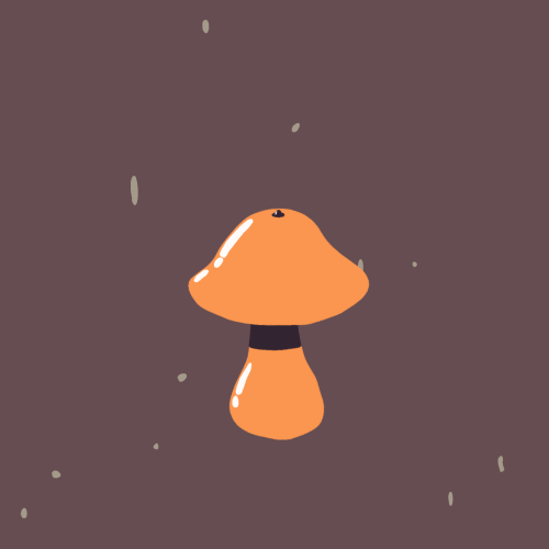 蘑菇  真菌  动画  循环
