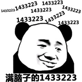 熊猫头 满脑子 1433223 数字
