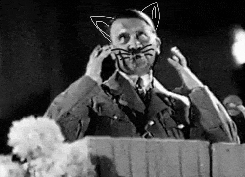 希特勒 笑死 小屁孩 草泥马