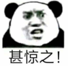 暴漫 文字表情包 甚惊之 搞笑 逗 沙雕