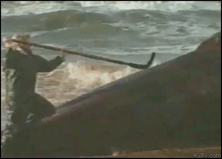 鲸鱼    海洋 动物 爆炸