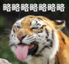 老虎 文字表情包 蠢萌 搞笑 逗