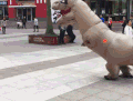 逗比 整人 恐龙 跑